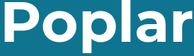 Poplar E14 Floor Sanding Services